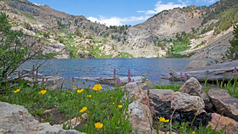 内华达州红宝石山脉的湖泊和花朵雷竞技体育app