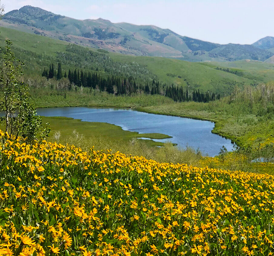 Jarbidge荒野保护区