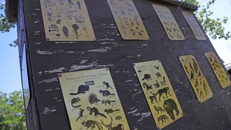 野生动物指导代顿州立公园