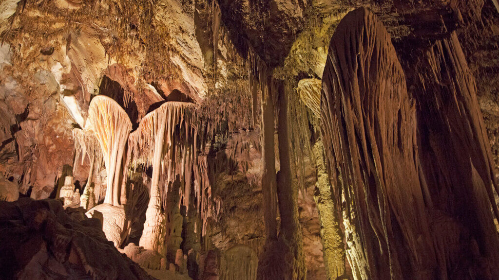 11.尽管大多数其他洞穴都有一到两个盾构是很常见的，但在雷曼洞穴中有300多个这种古老的、人类大小的盾构。