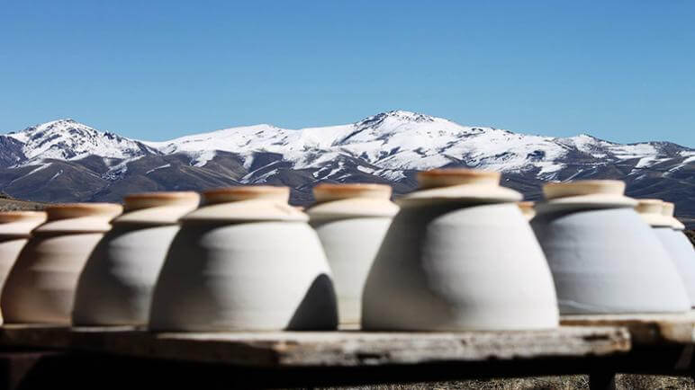 塔斯卡洛拉语陶器