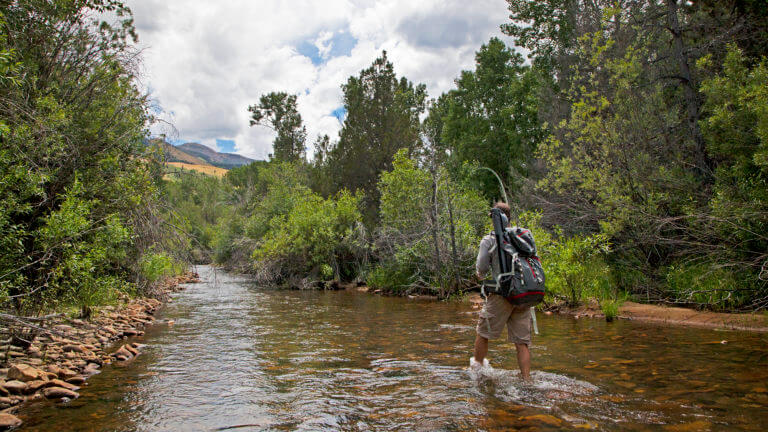 jarbidge-wilderness.jpg