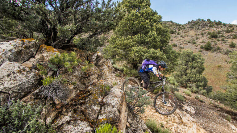 Fears, Tears and Beers Mountain Bike Enduro Race