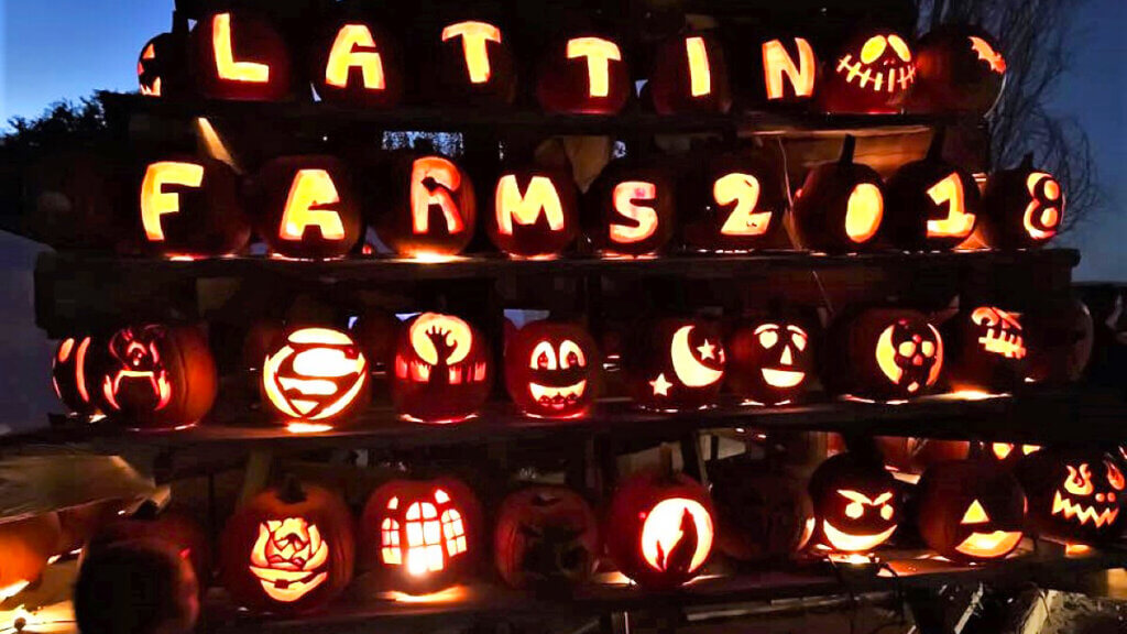 拉丁农场秋季庆典