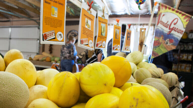 法伦哈密瓜节&国家公平