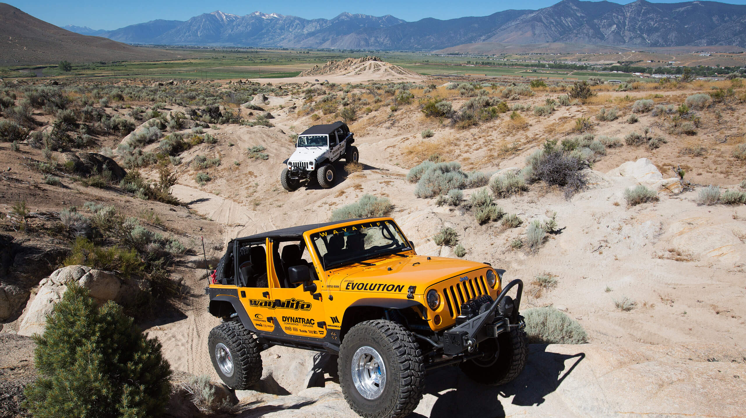 监狱希尔娱乐rea