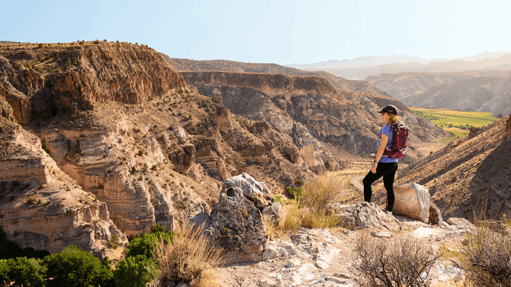 卡连特克肖-瑞安州立公园的彩虹峡谷