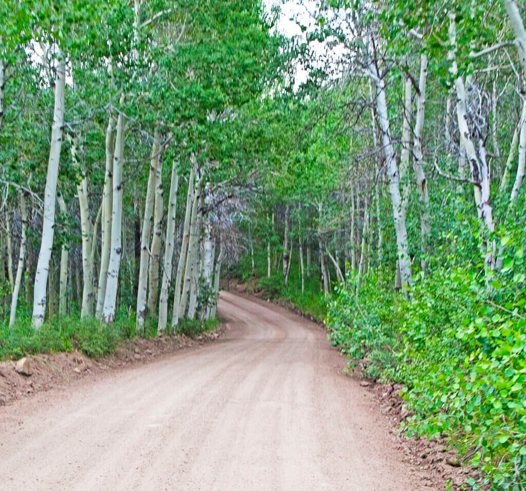 野外，越野，越野
