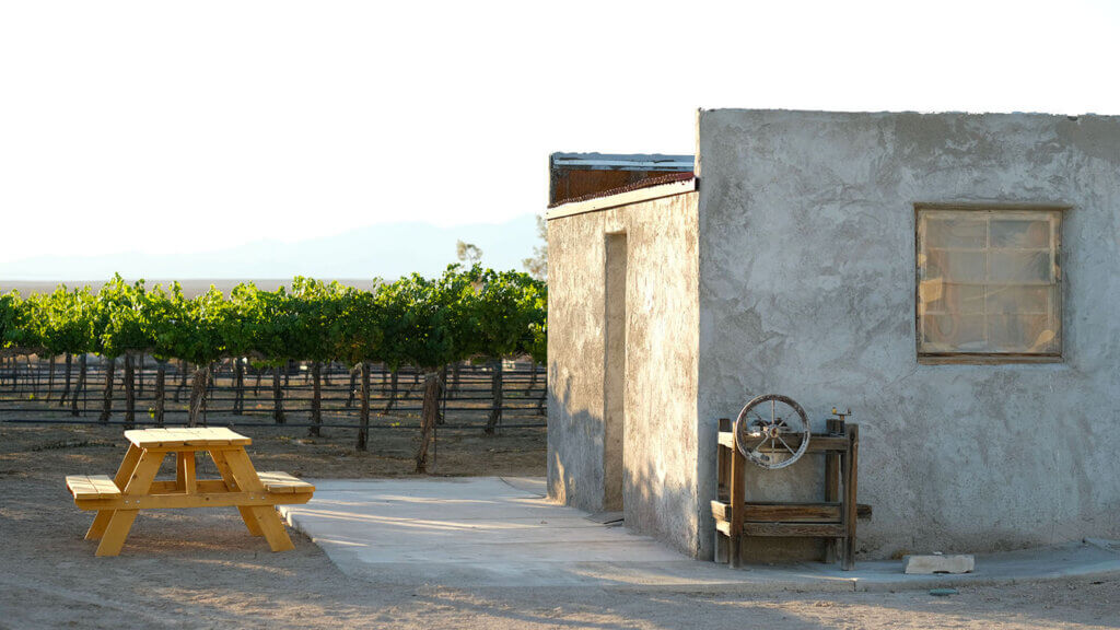 狼蛛的牧场,Amargosa山谷,死亡谷酒店,少见Overnighters,独特的地方保持内华达州雷竞技体育app