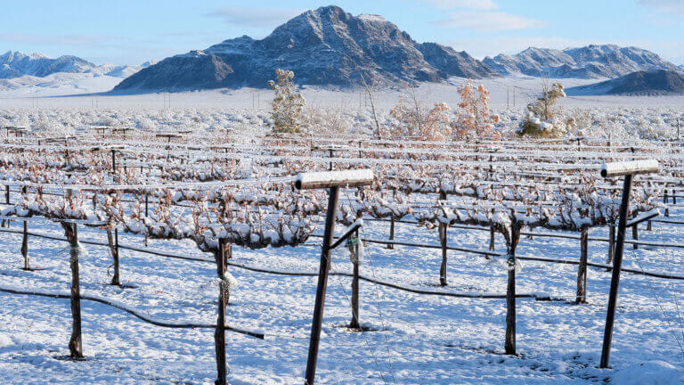狼蛛的牧场,Amargosa山谷,死亡谷酒店,少见Overnighters,独特的地方保持内华达州雷竞技体育app