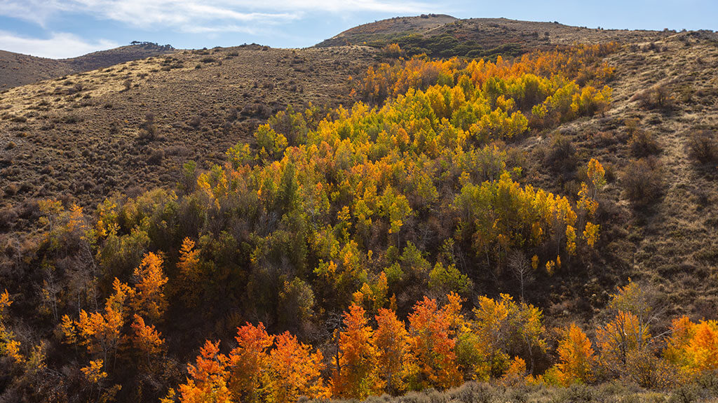秋天的颜色在哈里森通过lamoille峡谷